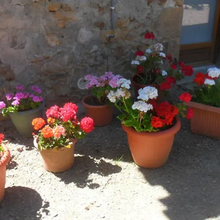 Vallee Des Chenes D'hotes